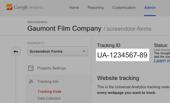 Your Google Analytics tracking code.